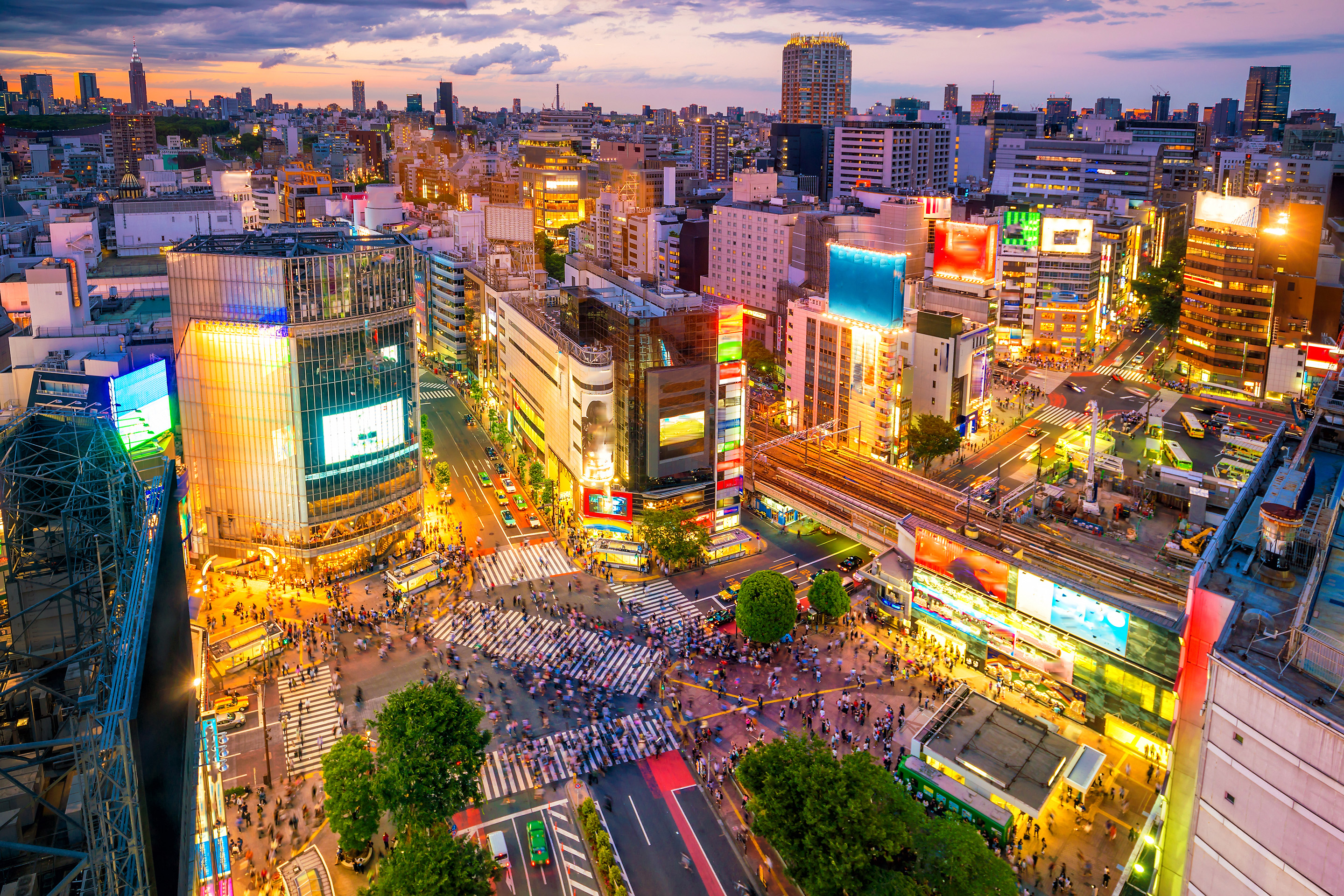 Dynatrace careers location tokyo hero