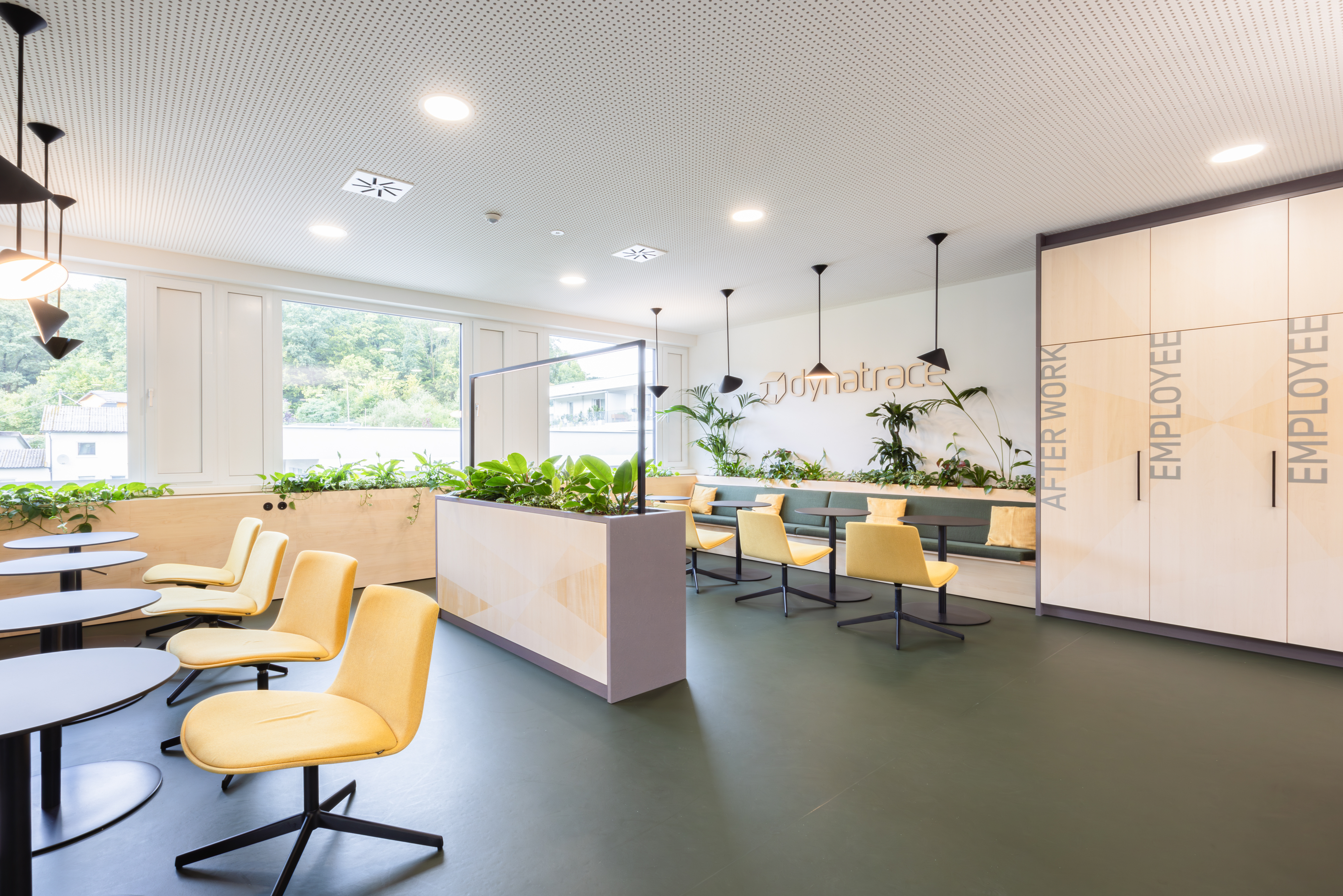 Dynatrace Linz Gruenwinkel Office 5