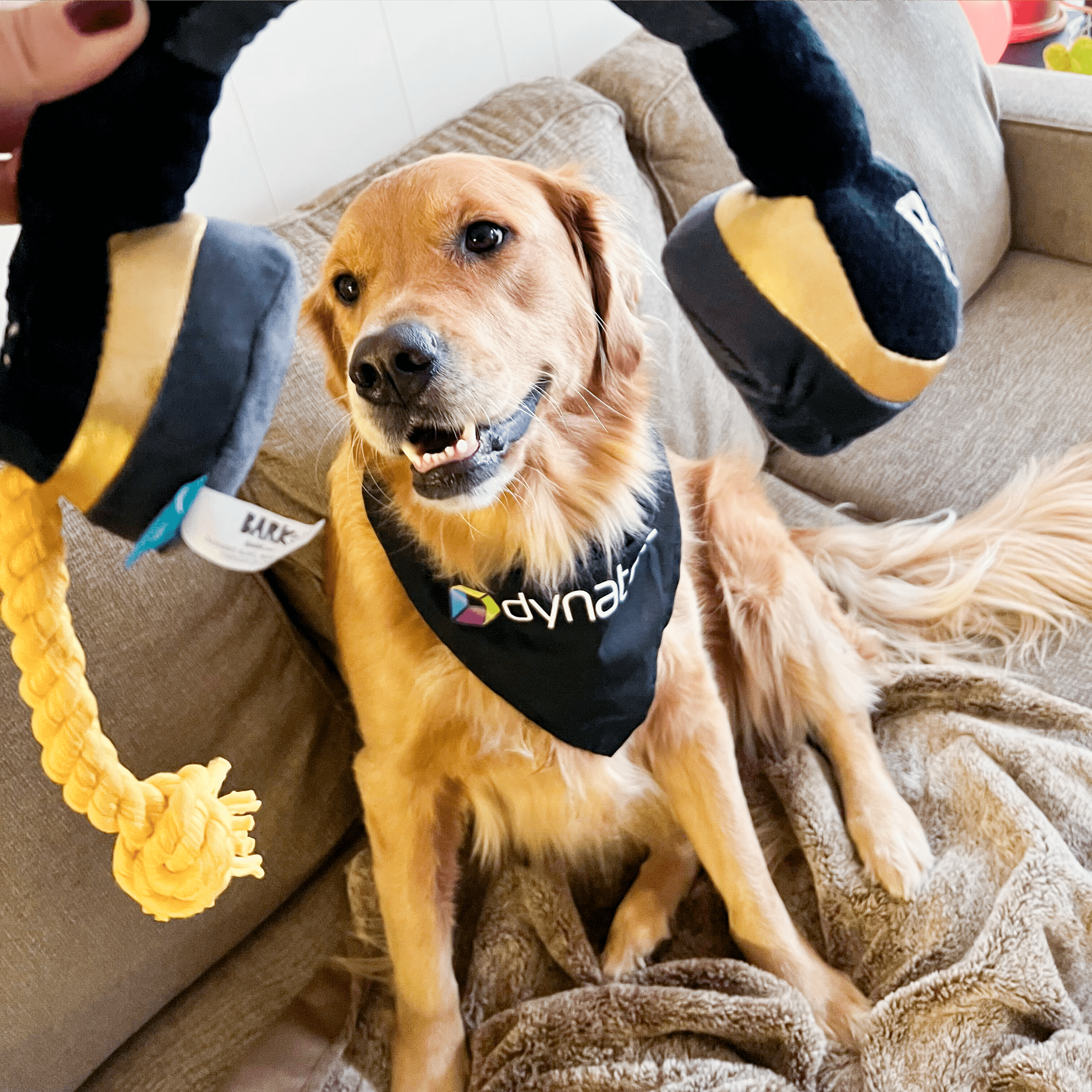 Pets of Dynatrace